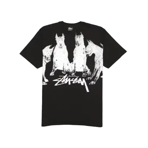 さらに100円引き◆STUSSY◆BUANA TEE PIGMENT DYED STUSSY BUANA TEE PIGMENT DYED | Hype Fly India