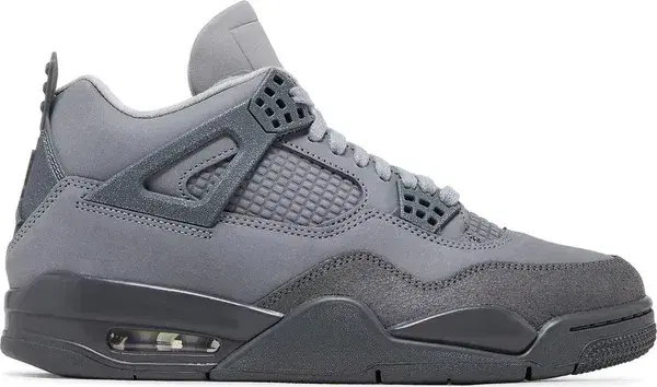 Buy Air Jordan 4 Retro SE 'Wet Cement' | Hype Fly India