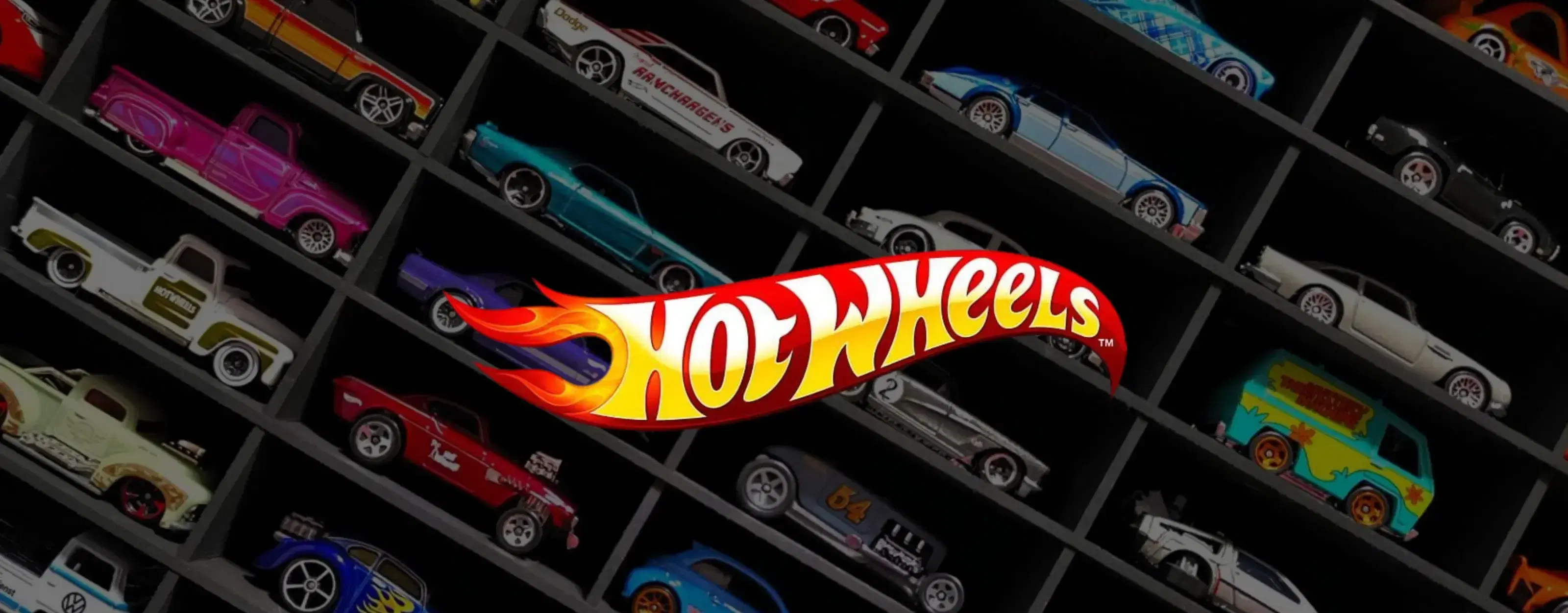 Hot Wheels - Hype Fly India