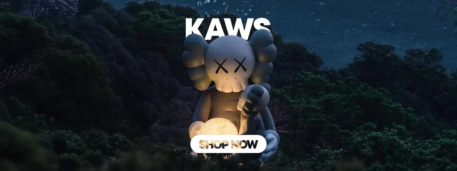 Kaws - Hype Fly India