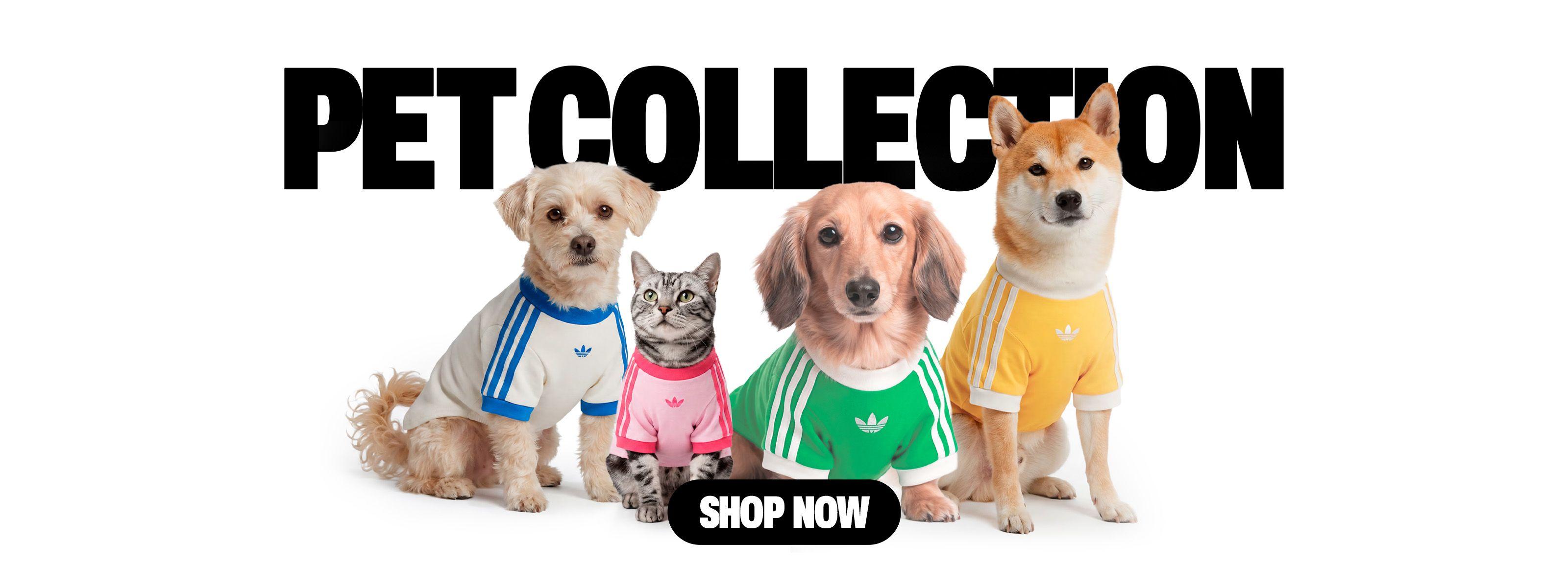  Adidas Pets - Hype Fly India