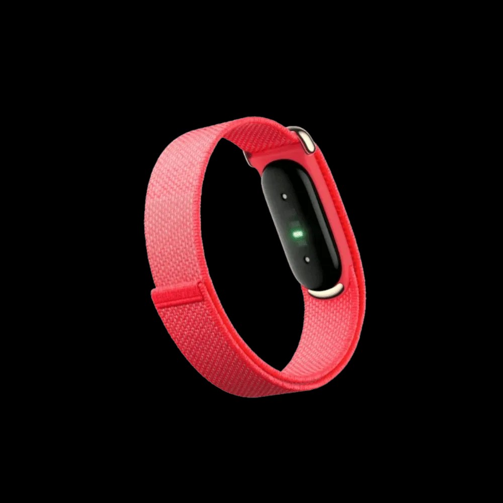 Google Fitbit Air Performance Loop Band “Berry” Strap Only - HypeFly India View 2