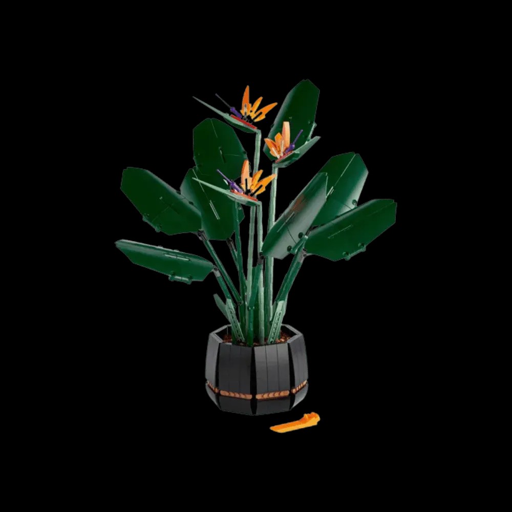 LEGO Botanical Collection Bird of Paradise Set - HypeFly India View 2