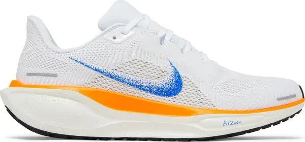 Air Zoom Pegasus 41 'Blueprint Pack' - HypeFly India View 1