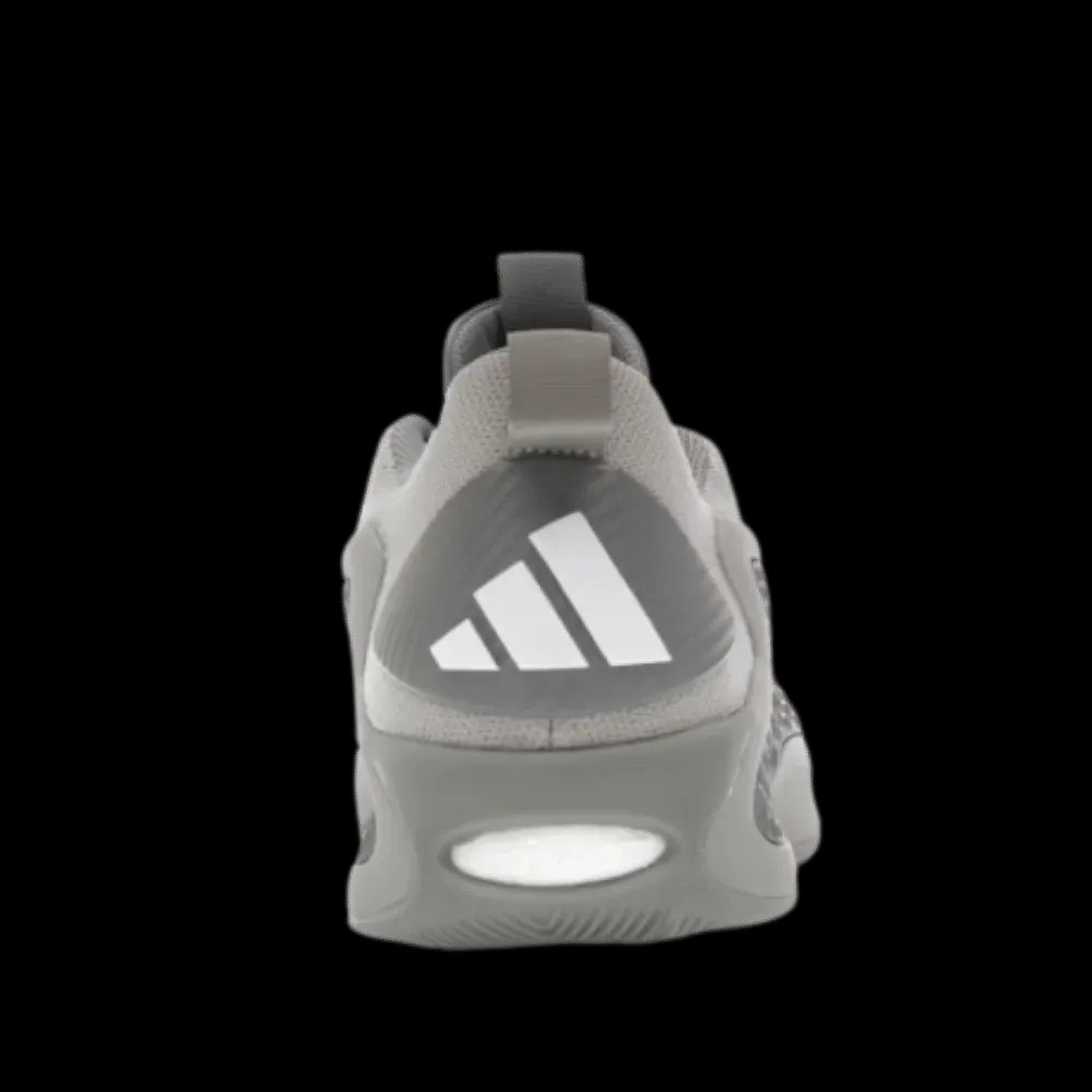 Adidas AE 1 Low Metallic Grey - HypeFly India View 4