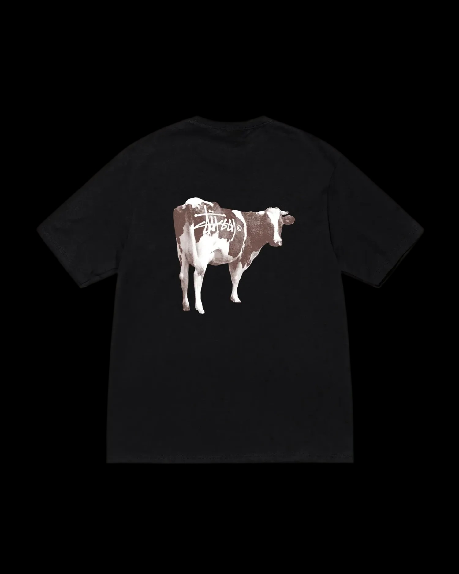 1905046_BLAC_1_1-transformed.webp