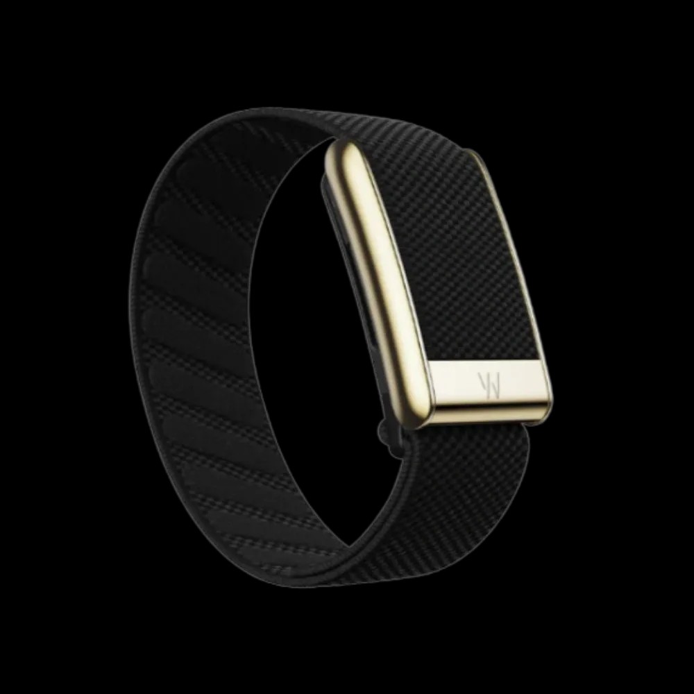 Whoop 5.0 Peak / MG Life Superknit Luxe Obsidian with Gold Band (Strap Only) - HypeFly India View 1