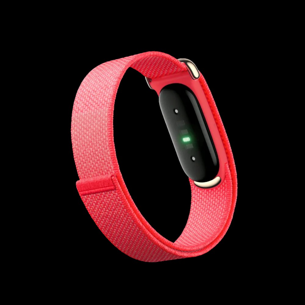 Google Fitbit Air "Berry" - HypeFly India View 2