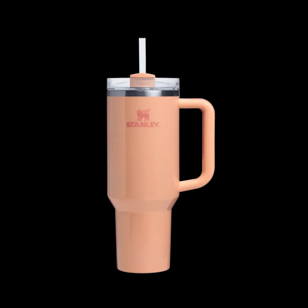 Stanley Tumbler Mug 40 Oz Bellini Shimmer - HypeFly India View 1
