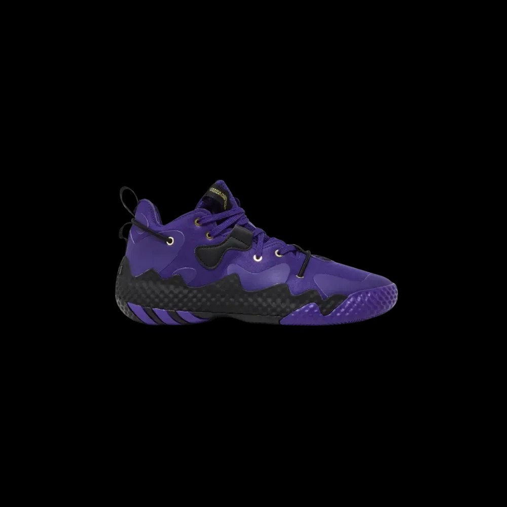 Adidas Harden Vol. 6 'Team College Purple' - HypeFly India View 1