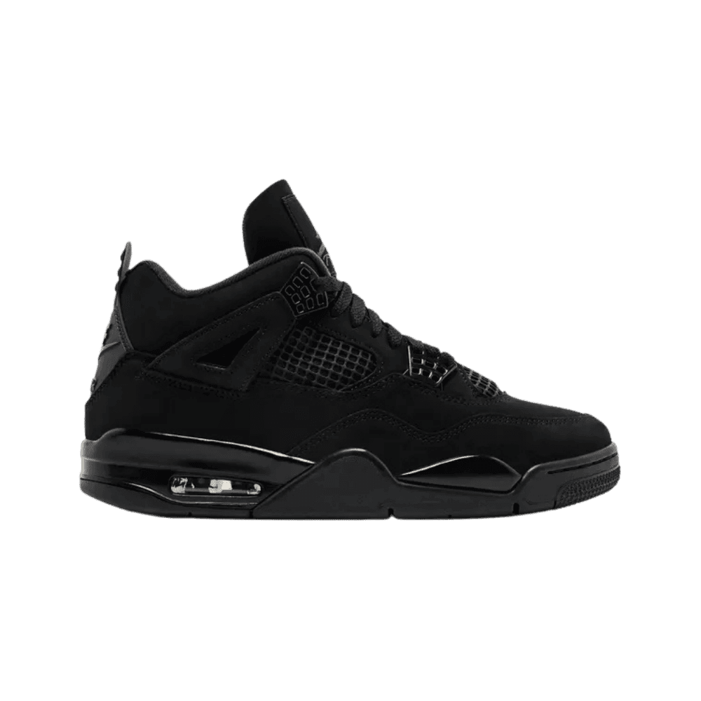 Air Jordan 4 Retro 'Black Cat' 2025 - HypeFly India View 1