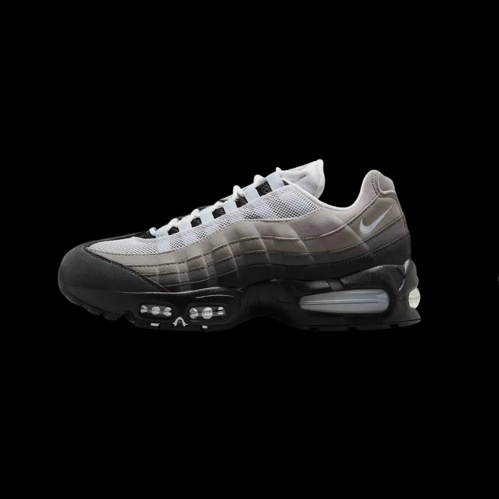 Nike Air Max 95 OG 'Blue Tint' 2025 - HypeFly India View 2