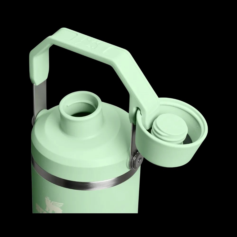 Stanley IceFlow Tumbler with Fast Flow Lid (30OZ) Pistachio - HypeFly India View 3