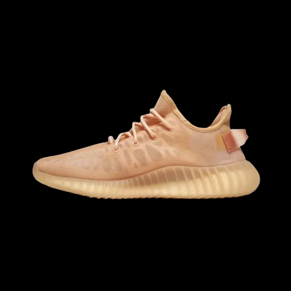 Yeezy Boost 350 V2 'Mono Clay' - HypeFly India View 5