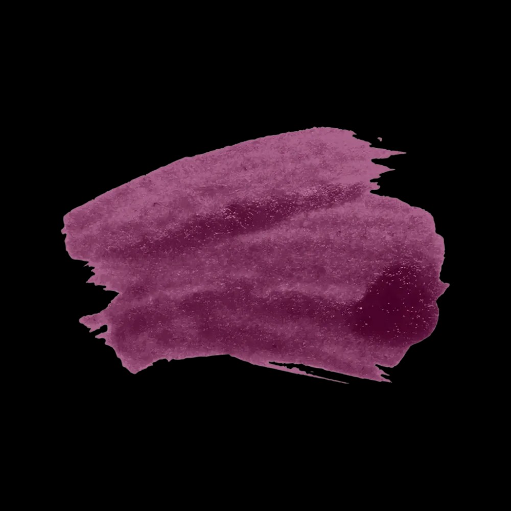 SACHEU Peel Off Lip Liner STAY-N - Plumped - HypeFly India View 2