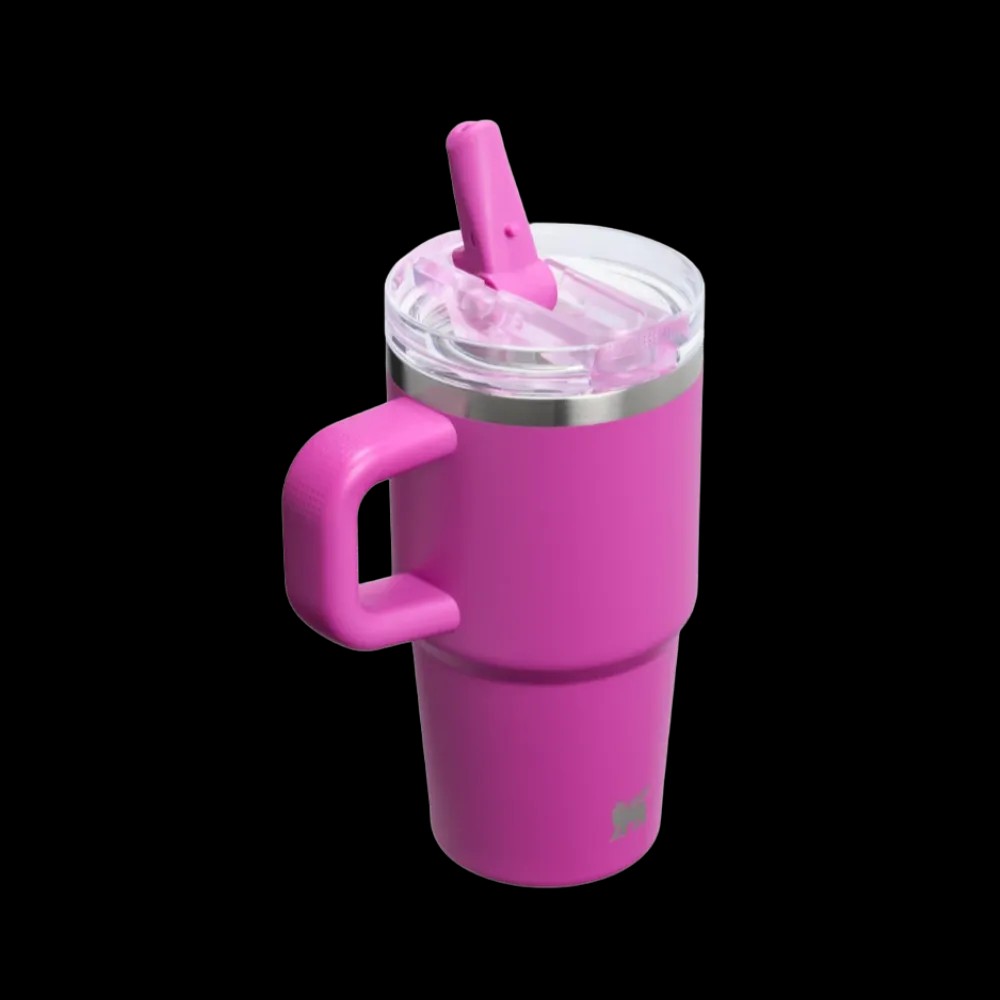 Stanley Quencher ProTour Flip Straw Tumbler 20 OZ Dark Blossom - HypeFly India View 2