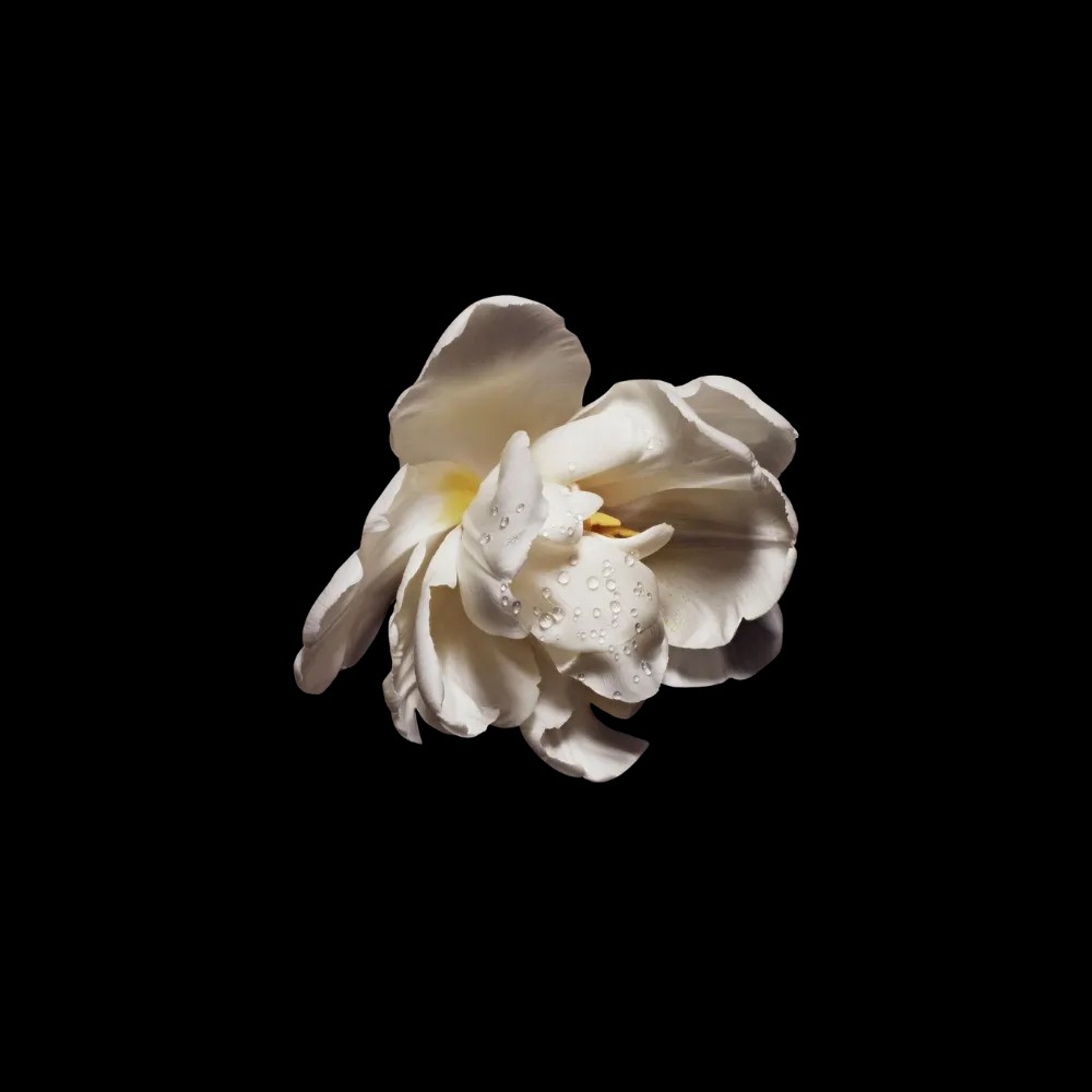 Dior Cuir Saddle Eau De Parfum – Leather And Floral Notes - HypeFly India View 3