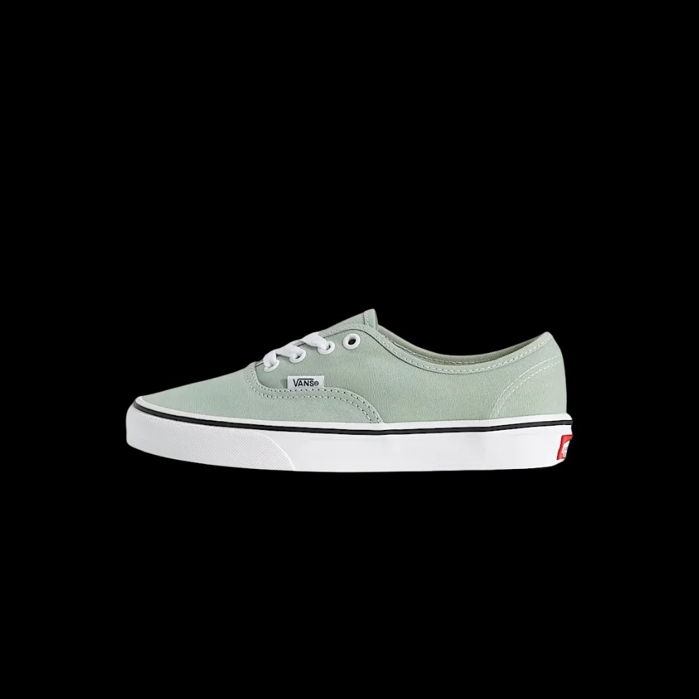 Vans Authentic Shoe Grey Olive Green - HypeFly India View 2