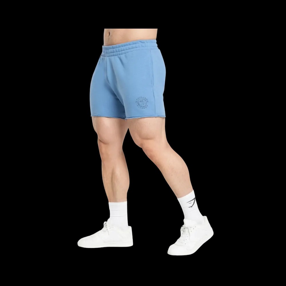 Gymshark Legacy Shorts Muscle Fit Classic Blue - HypeFly India View 3