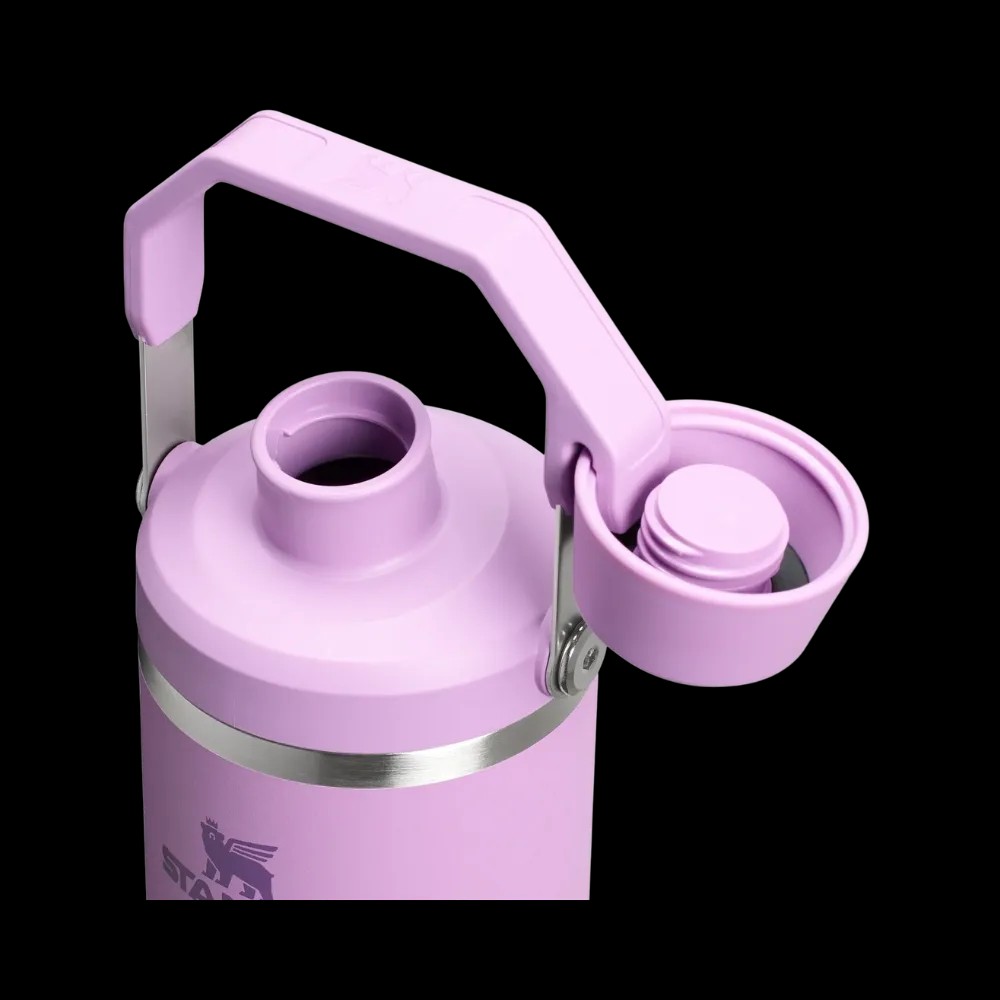 Stanley IceFlow Tumbler with Fast Flow Lid (30OZ) Lilac - HypeFly India View 3
