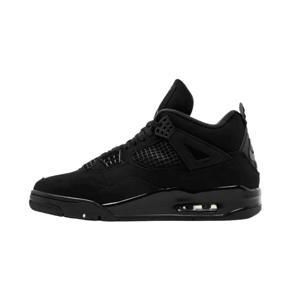 Air Jordan 4 Retro 'Black Cat' 2025 - HypeFly India View 2