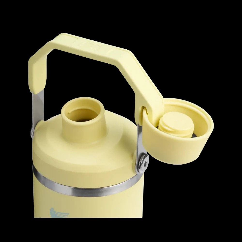 Stanley IceFlow Tumbler with Fast Flow Lid (30OZ) Pomelo - HypeFly India View 3