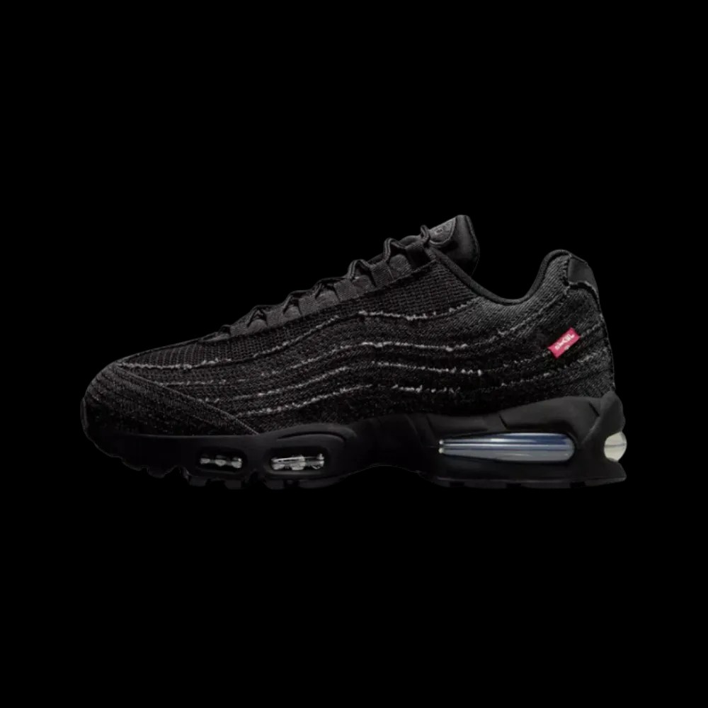 Nike Air Max 95 OG Levis Black - HypeFly India View 2