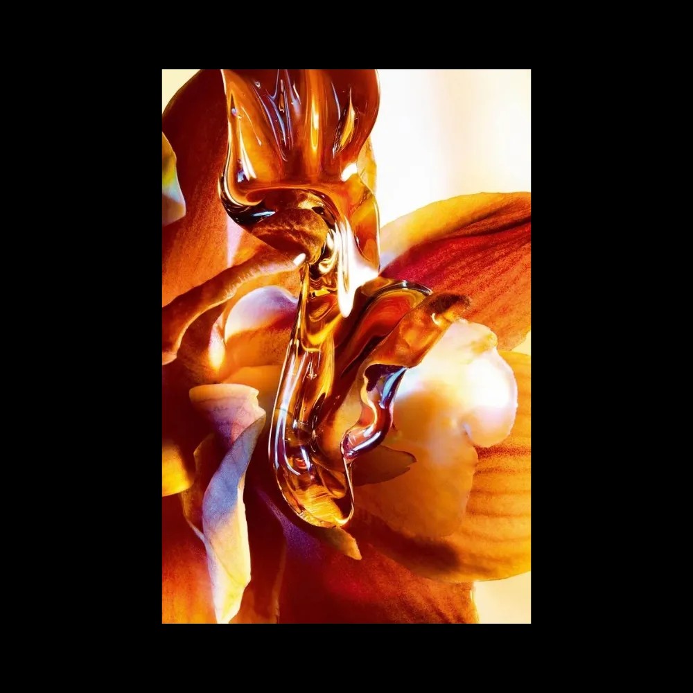 Dior J'adore Intense Parfum - Luscious And Honeyed Notes - HypeFly India View 4