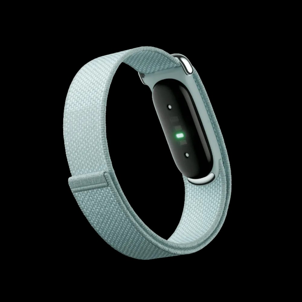 Google Fitbit Air "Fog" - HypeFly India View 3