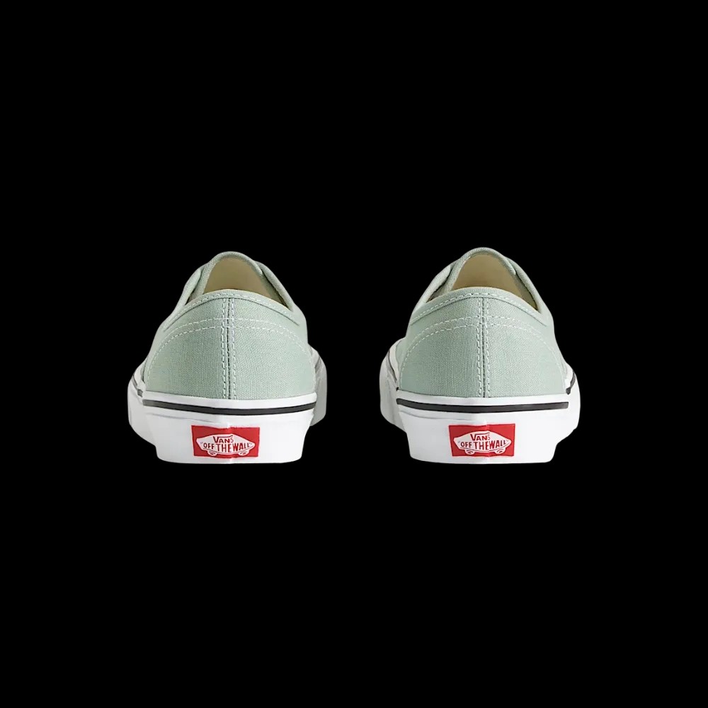 Vans Authentic Shoe Grey Olive Green - HypeFly India View 4