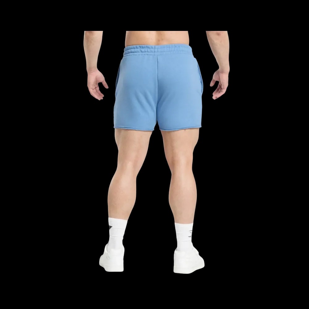 Gymshark Legacy Shorts Muscle Fit Classic Blue - HypeFly India View 2