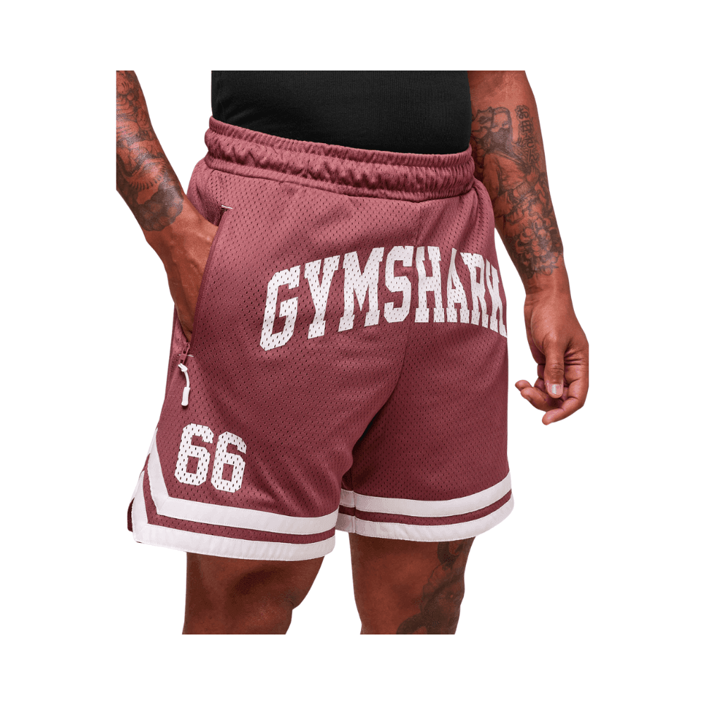 GymShark Varsity Mesh Shorts Washed Berry Pink - HypeFly India View 3