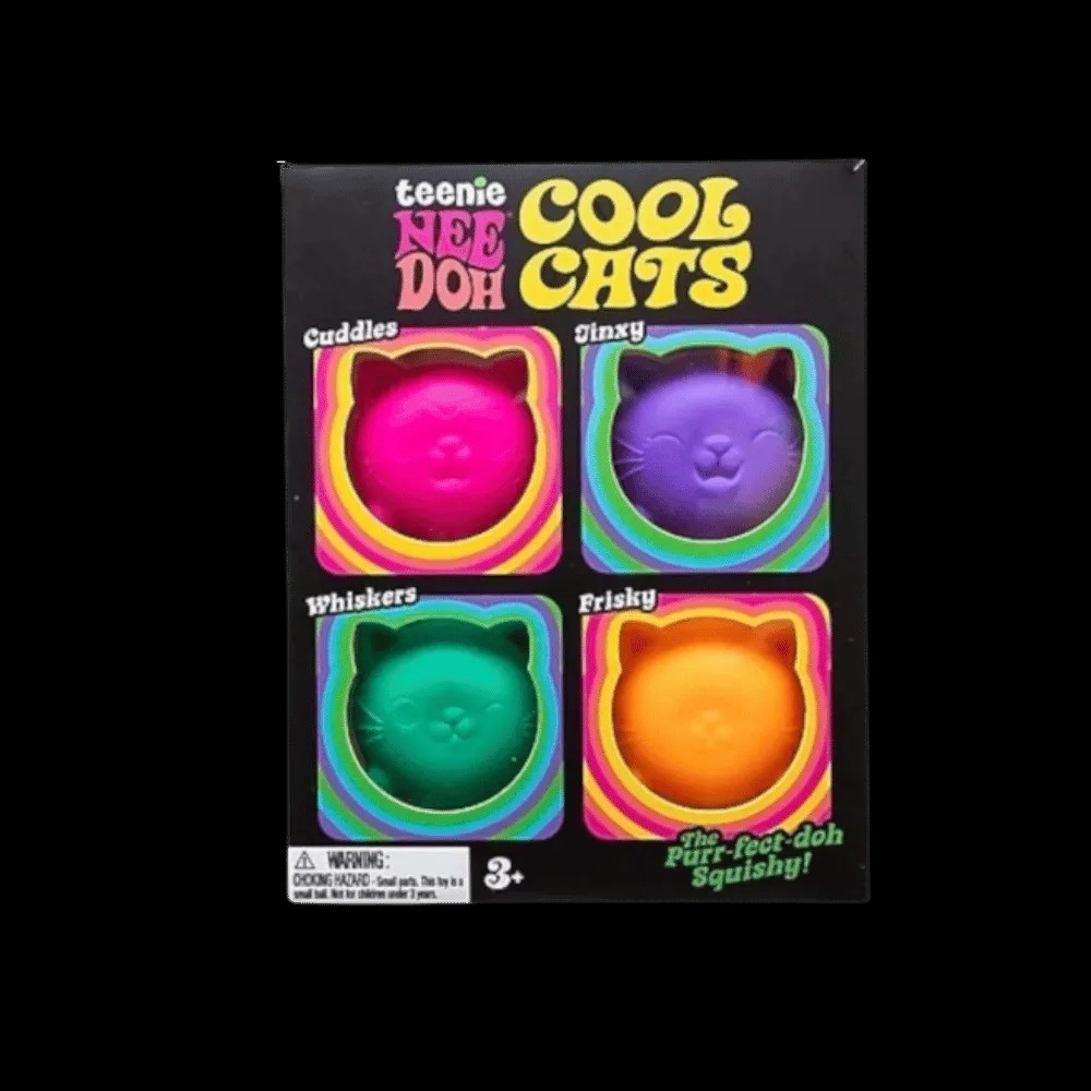 NeeDoh Teenie Cool Cat 4-Pack Squishy Fidget Toy - HypeFly India View 1