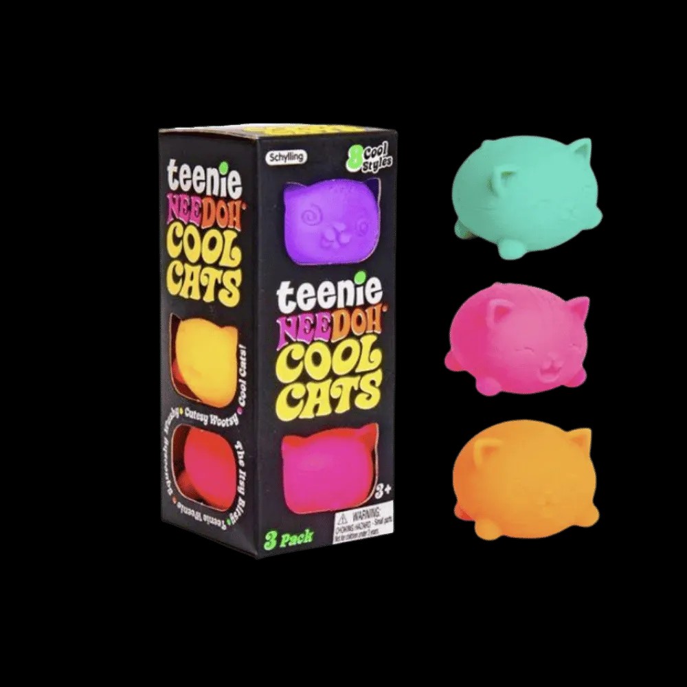 NeeDoh Teenie Cool Cat 4-Pack Squishy Fidget Toy - HypeFly India View 2