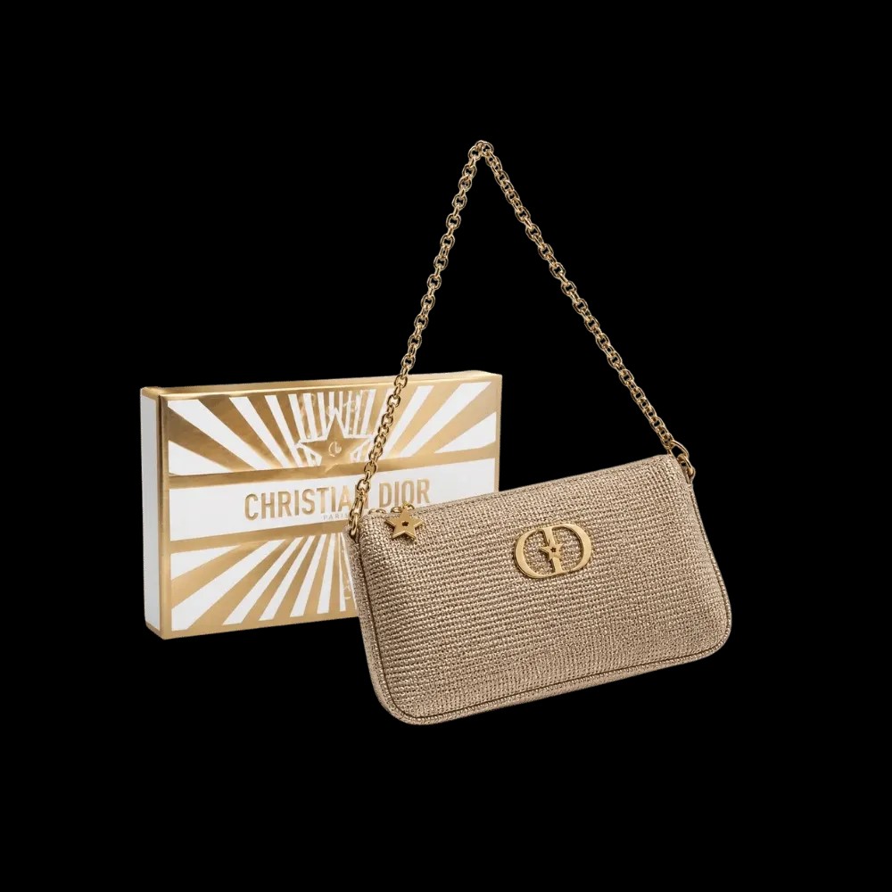 Dior VIP clutch shoulder bag  - HypeFly India View 1