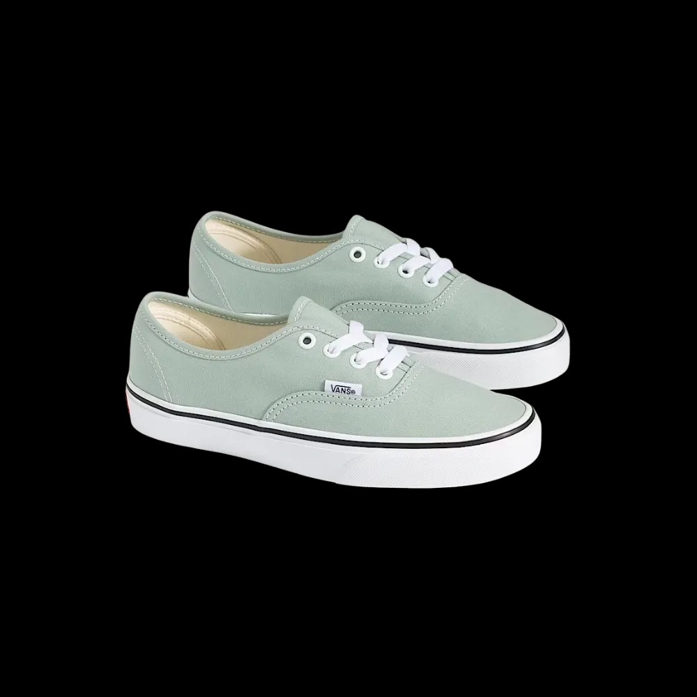 Vans Authentic Shoe Grey Olive Green - HypeFly India View 5