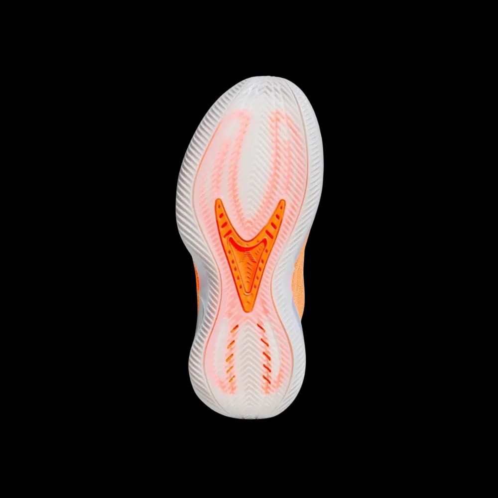 Adidas AE 2 'All-Star' - HypeFly India View 4