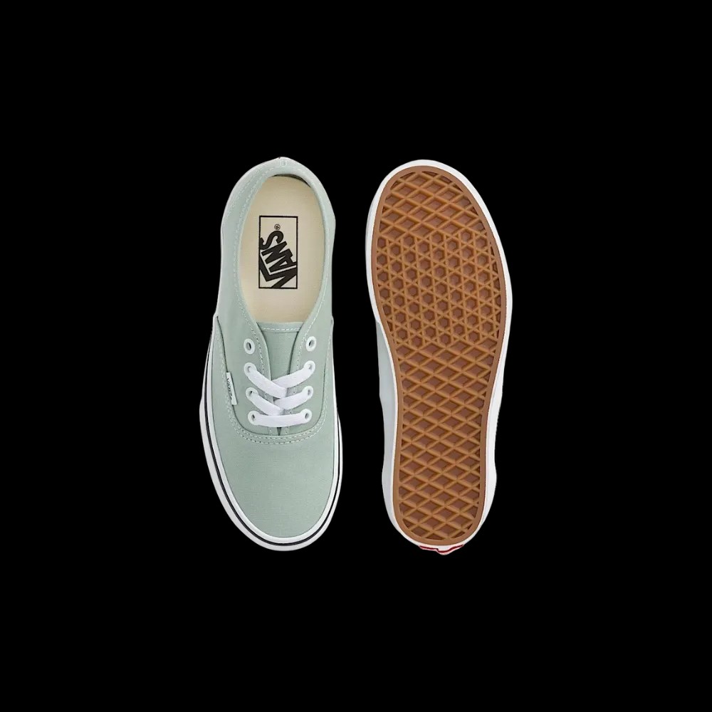 Vans Authentic Shoe Grey Olive Green - HypeFly India View 3