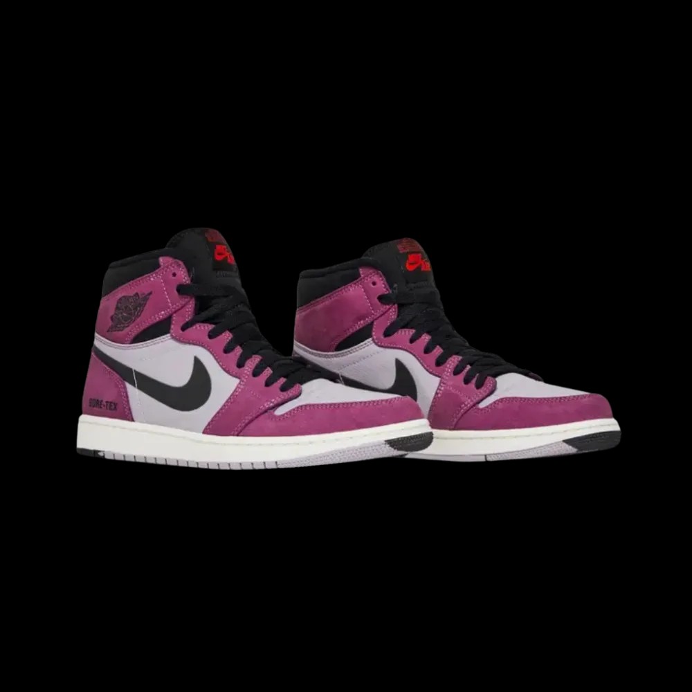 Air Jordan 1 GORE-TEX "Light Berry " - HypeFly India View 5