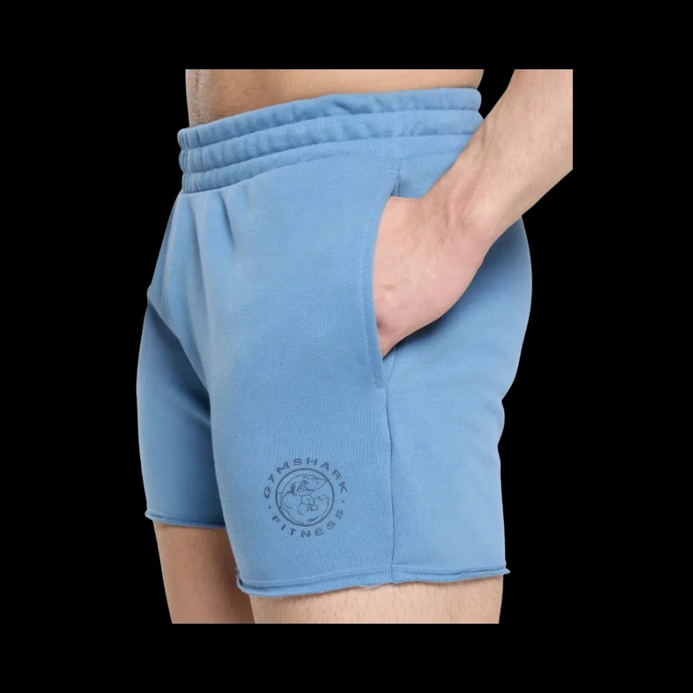 Gymshark Legacy Shorts Muscle Fit Classic Blue - HypeFly India View 4