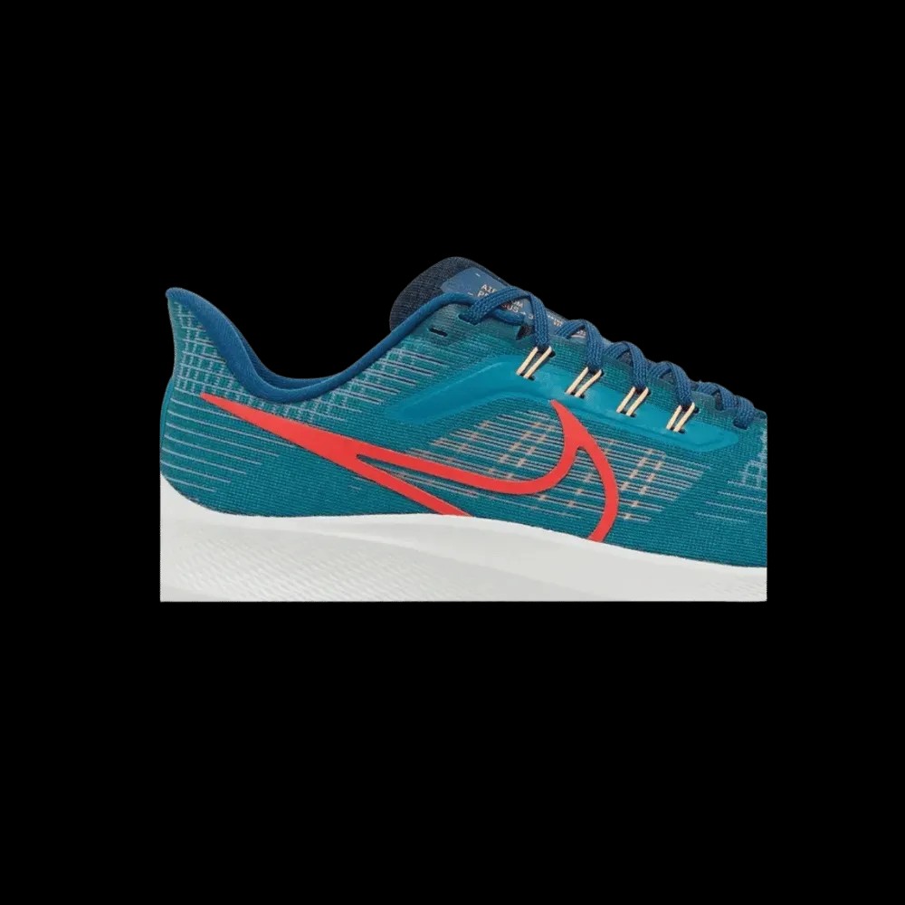 Nike Air Zoom Pegasus 39 'Spruce Crimson' - HypeFly India View 3