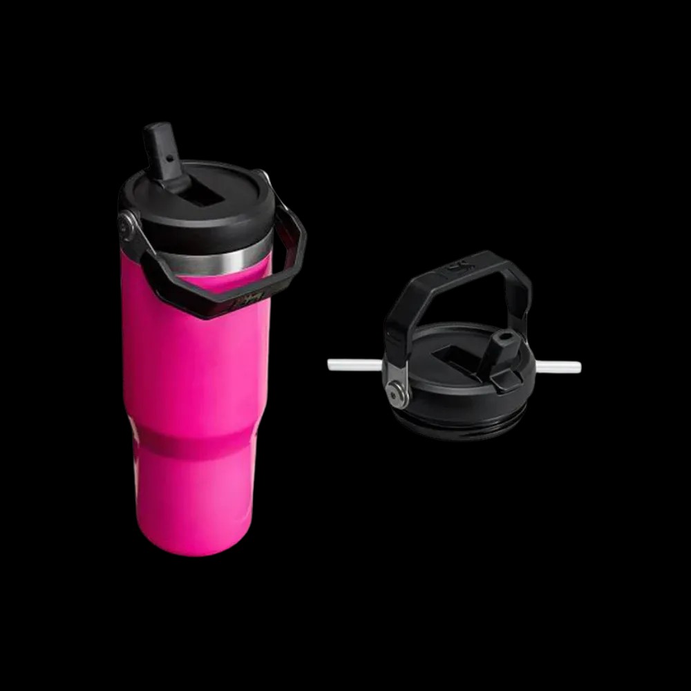 Stanley Neon IceFlow Flip Straw Tumbler (30OZ) - HypeFly India View 2
