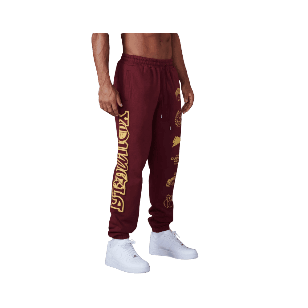 Young LA Immortal Killer Joggers Burgundy - HypeFly India View 2