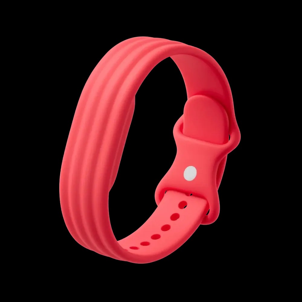 Google Fitbit Air 'Berry' Active Band (Strap Only) - HypeFly India View 1