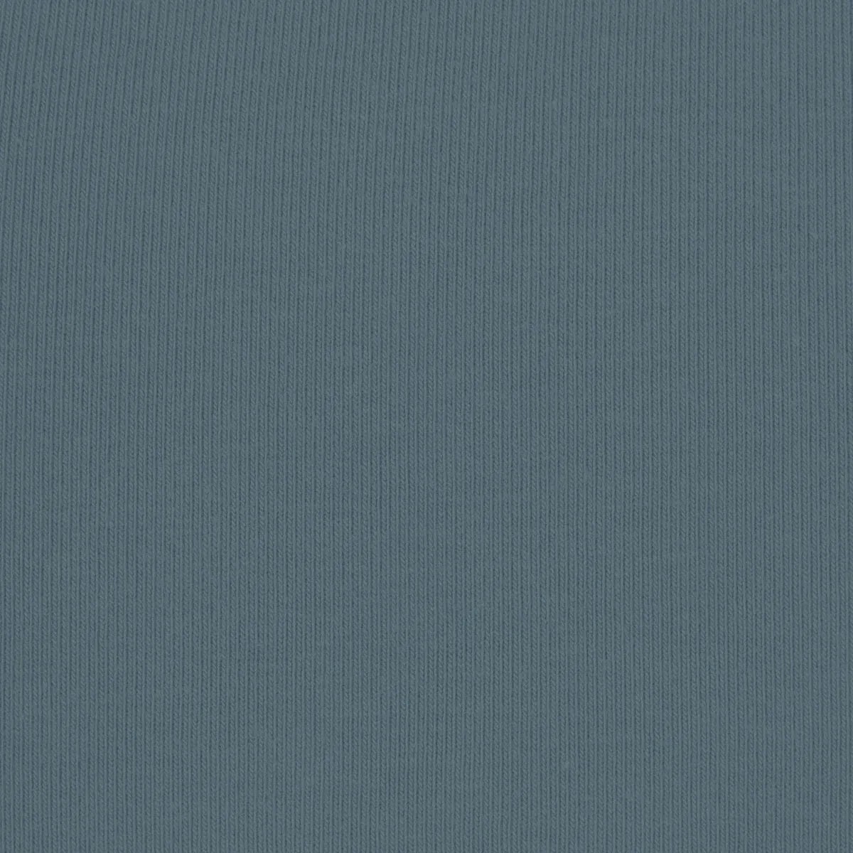 Skims Cotton Jersey Long Sleeve T-Shirt Kyanite - HypeFly India View 2