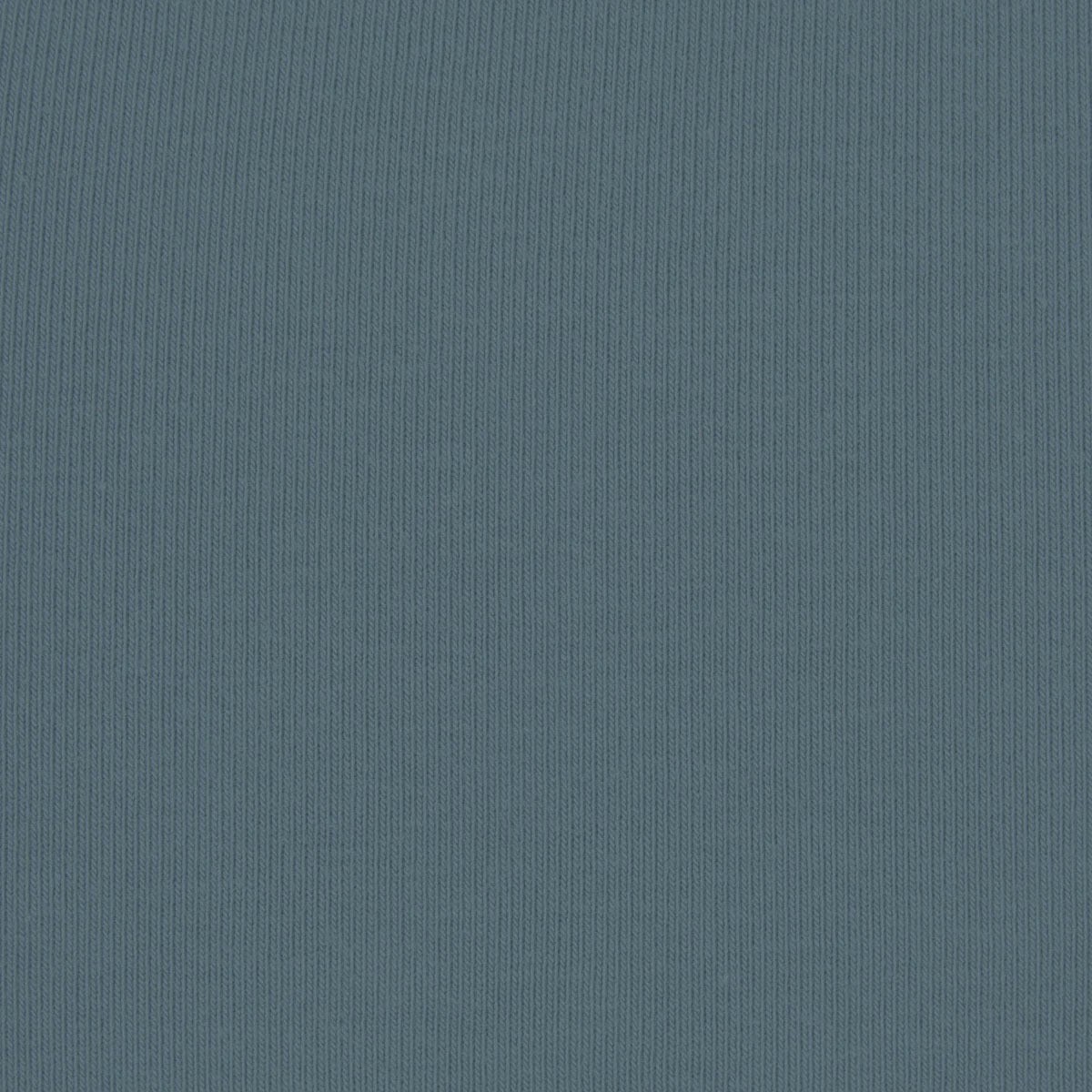 Skims Cotton Jersey T-shirt Kyanite - HypeFly India View 2