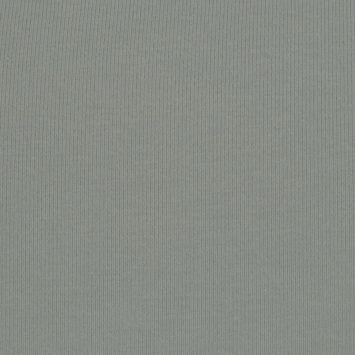 Skims Cotton Jersey Long Sleeve T-Shirt Mineral - HypeFly India View 2