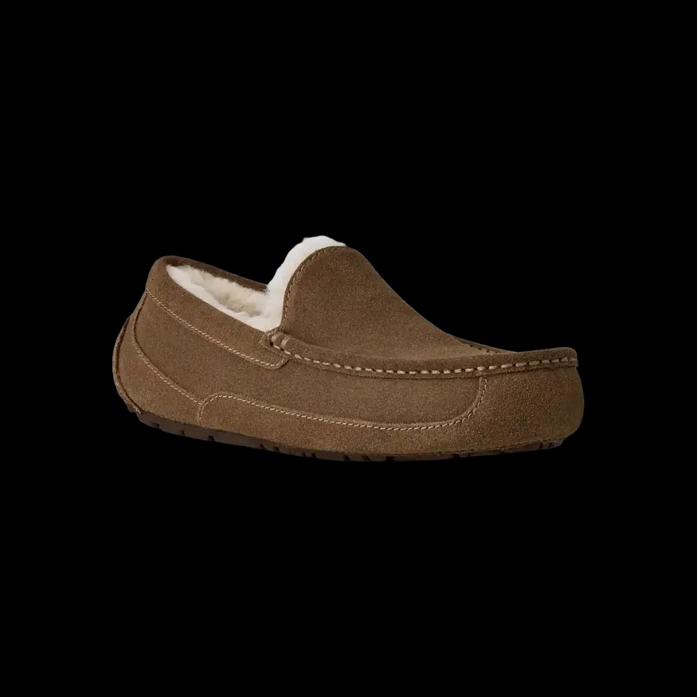 Ugg Ascot light bronze - HypeFly India View 4
