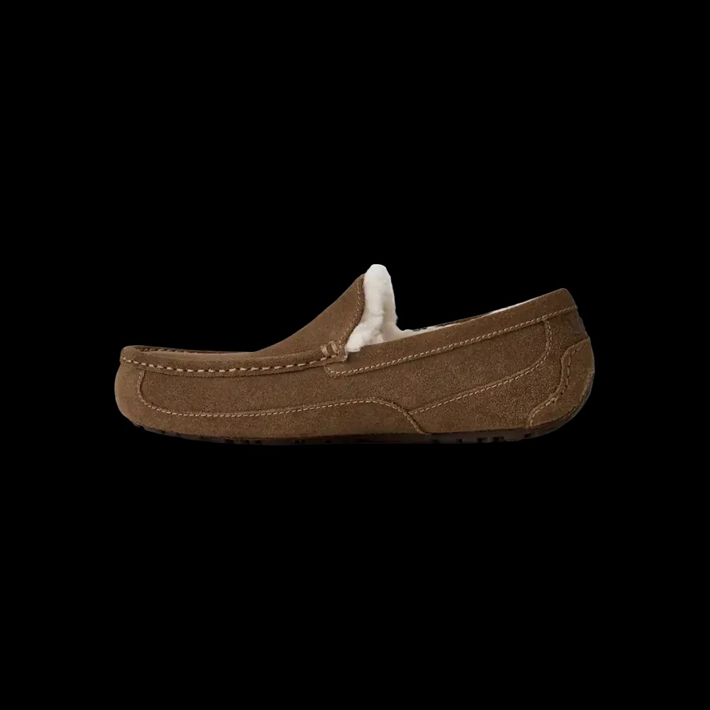 Ugg Ascot light bronze - HypeFly India View 3