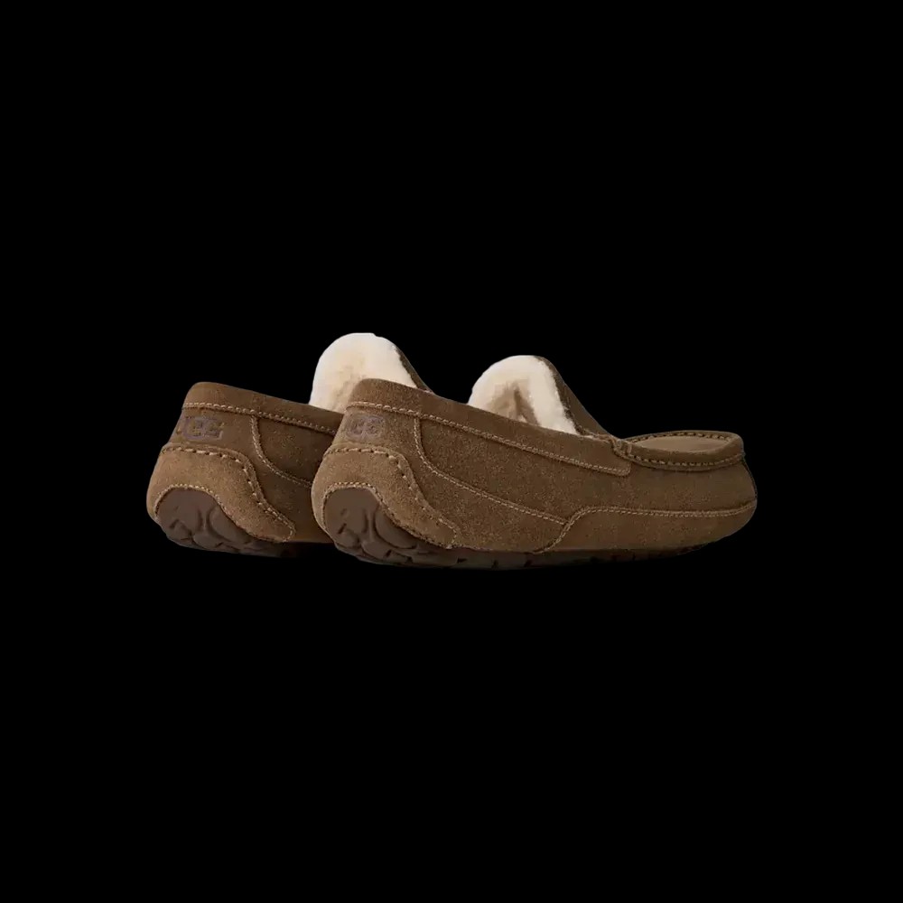 Ugg Ascot light bronze - HypeFly India View 2